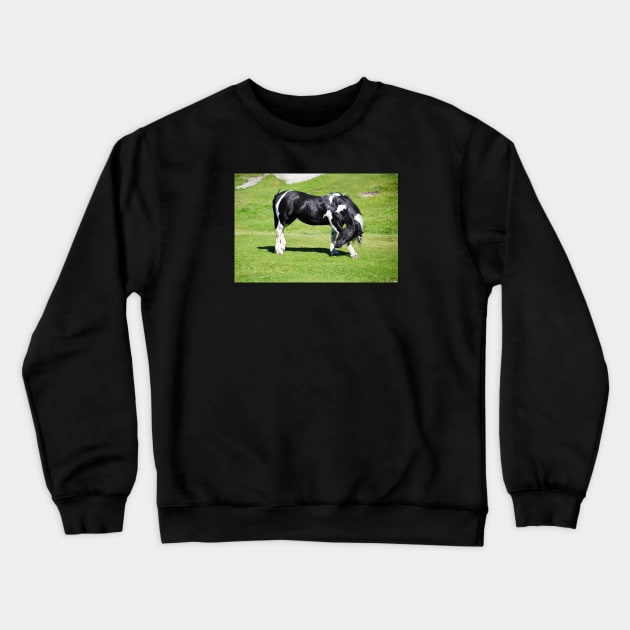 Horse / Swiss Artwork Photography Crewneck Sweatshirt by RaphaelWolf